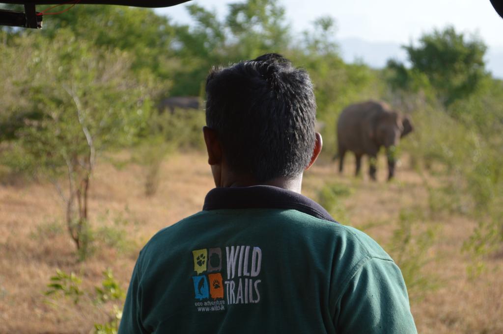 Wild Panthera Yala Tissamaharama Ngoại thất bức ảnh