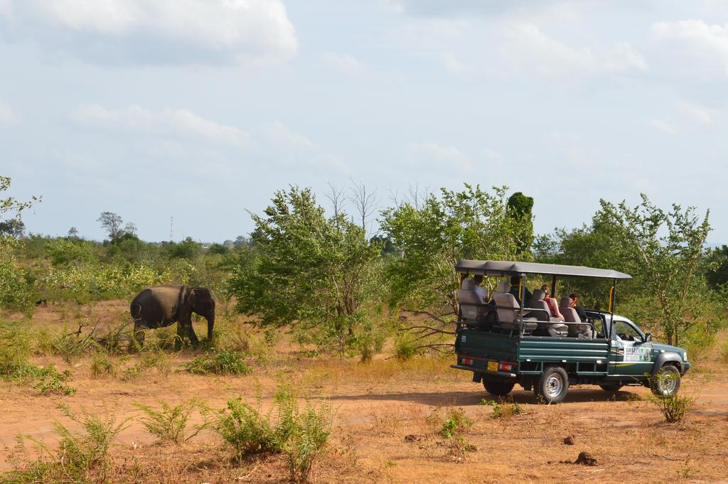 Wild Panthera Yala Tissamaharama Ngoại thất bức ảnh