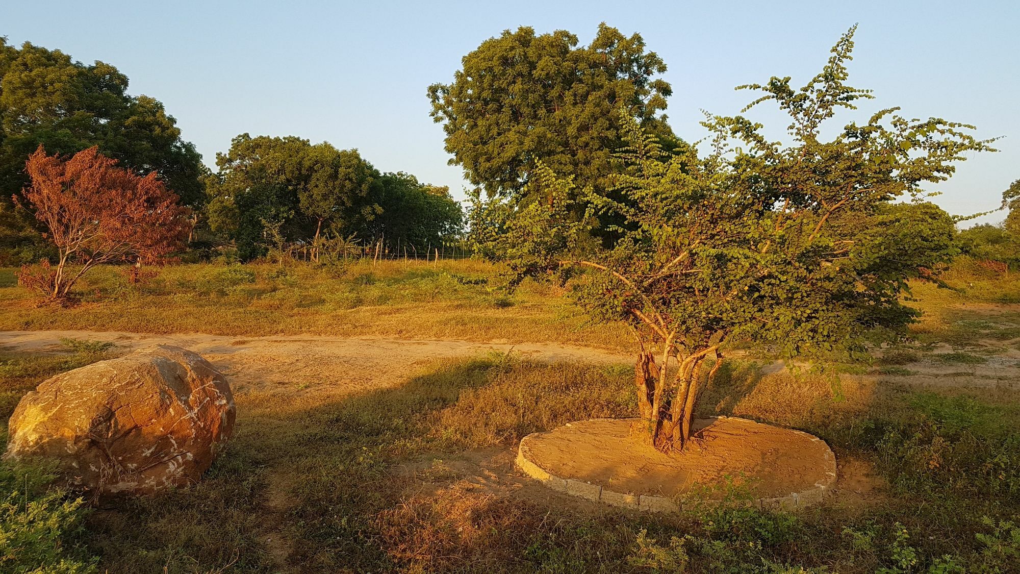 Wild Panthera Yala Tissamaharama Ngoại thất bức ảnh